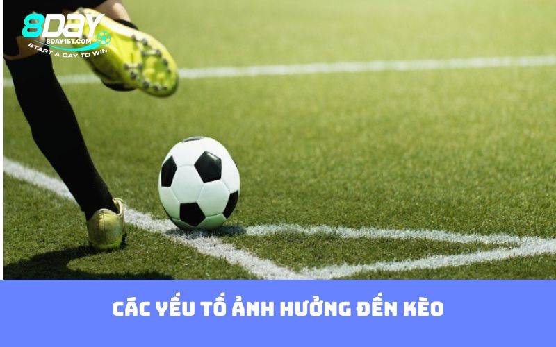 Các yếu tố ảnh hưởng đến kèo