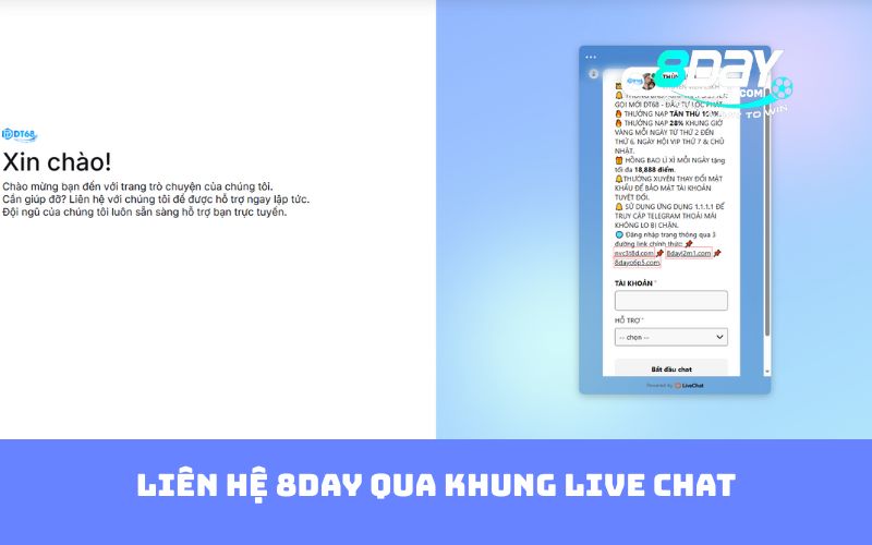 Liên hệ 8DAY qua khung live chat